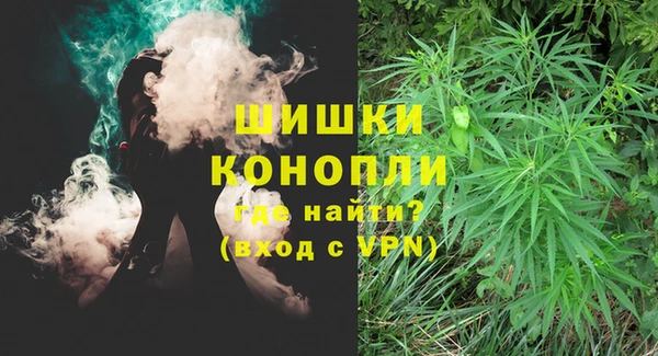 ПСИЛОЦИБИНОВЫЕ ГРИБЫ Александровское