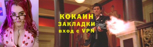 ПСИЛОЦИБИНОВЫЕ ГРИБЫ Александровское