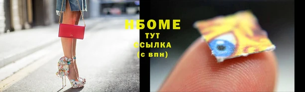 ПСИЛОЦИБИНОВЫЕ ГРИБЫ Александровское