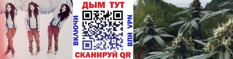 Конопля гибрид  Купить где  Кодинск 
